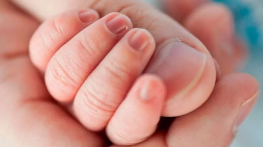 Buscan familia para adoptar a seis hermanitos