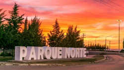 Neuquén: plantarán 10 mil árboles en la ciudad