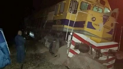 El Tren Patagónico chocó contra una vaca y descarriló