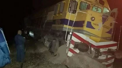 El Tren Patagónico chocó contra una vaca y descarriló