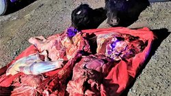 En un allanamiento encontraron dos vacas recién faenadas