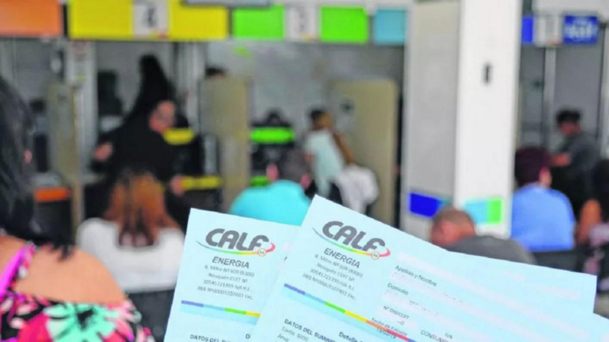 CALF: "El 44% de los usuarios supera ingresos de $900 mil"