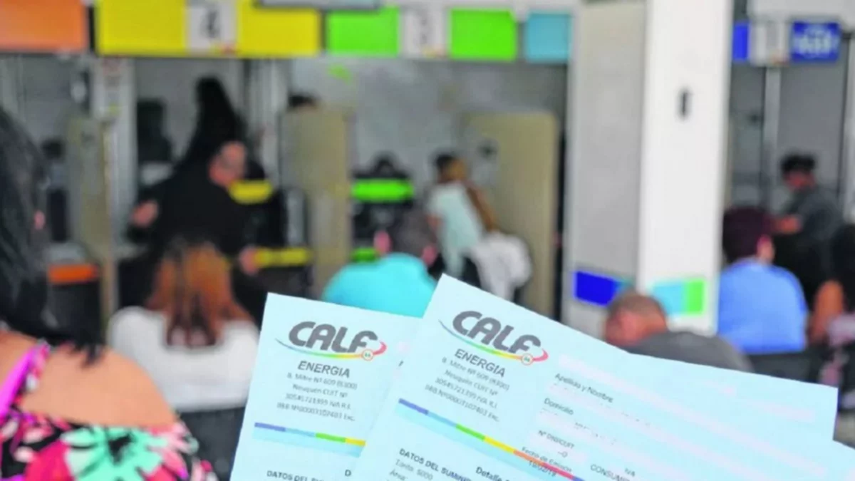 CALF: "El 44% de los usuarios supera ingresos de $900 mil"