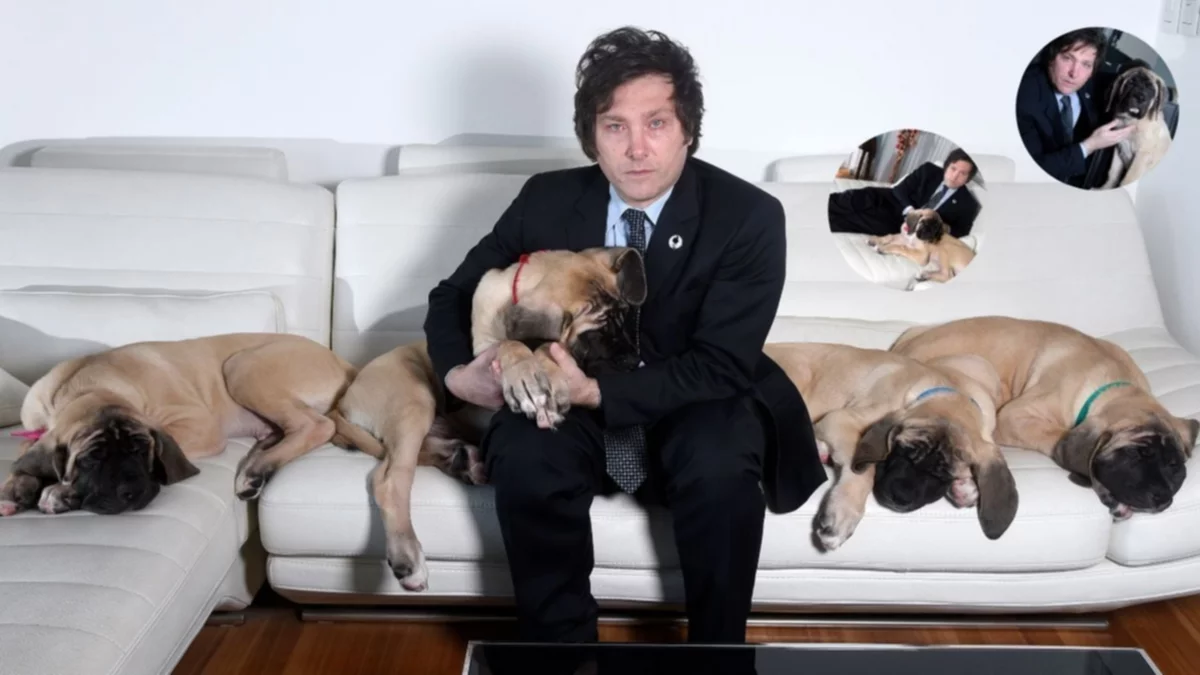 Cuánto dinero gastó Javier Milei para clonar a su perro Conan