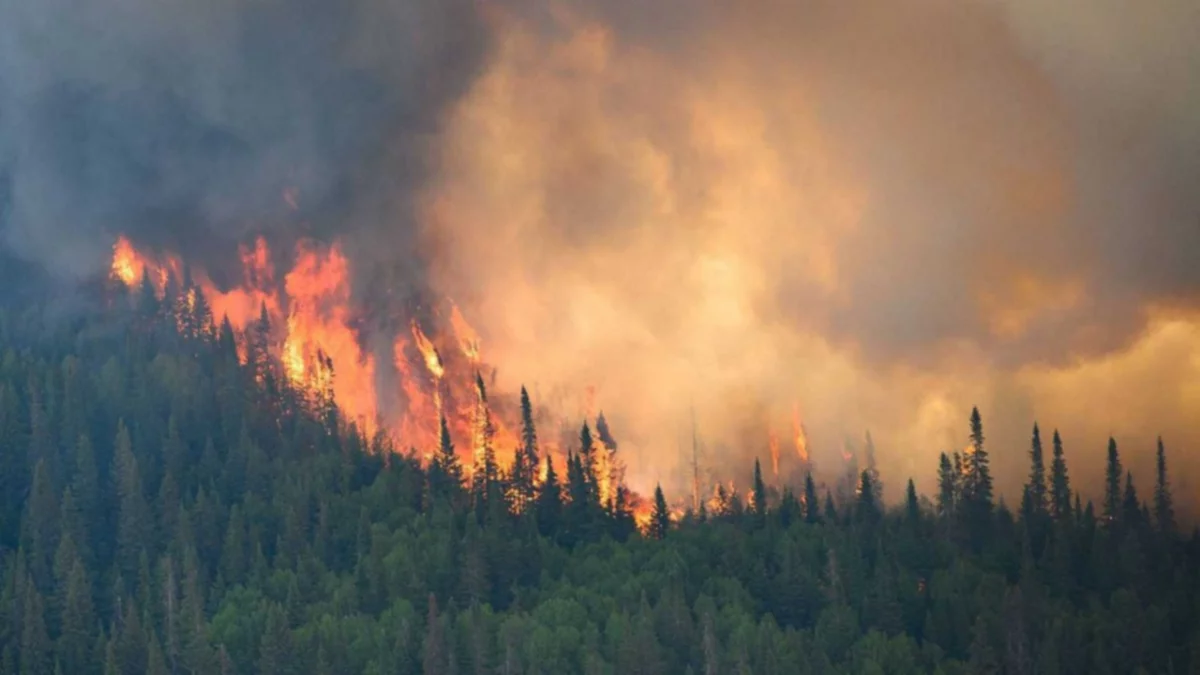 Canadá: operación sin precedentes para evacuar una ciudad