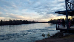 Qué dicen las pruebas que hicieron a las aguas del río Limay y dónde fueron