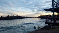 Qué dicen las pruebas que hicieron a las aguas del río Limay y dónde fueron