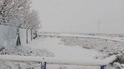 Neuquén de blanco: así nieva en la provincia