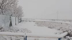 Neuquén de blanco: así nieva en la provincia