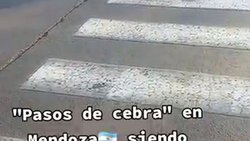 Una turista chilena escrachó a conductores argentinos
