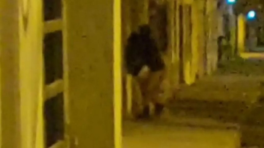 Sexo público: No se aguantaron las ganas y acabaron escrachados