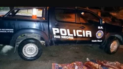 Robó una vaca, le pegó a una policía y quedó preso