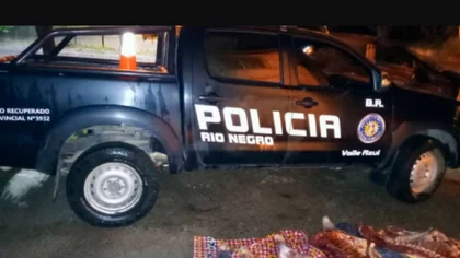 Robó una vaca, le pegó a una policía y quedó preso