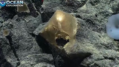 ¿Qué se sabe del "huevo dorado" encontrado en el fondo del mar?
