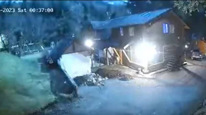 ¿Qué fue la luz blanca que iluminó el cielo en Bariloche?