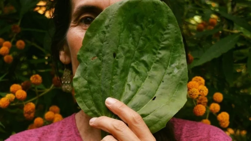 Top 5 del "botiquín de primavera"