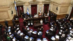 Detalles de la jornada maratónica en el Senado y cómo votaron los neuquinos