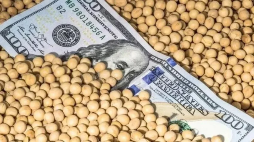 El Gobierno prórroga el dólar soja hasta las elecciones