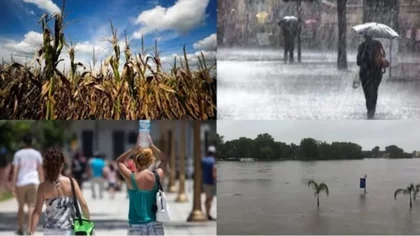 Llega "El Niño": ¿Cómo será el verano en la Argentina?