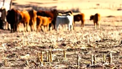 El apocalíptico pronóstico de científicos sobre el futuro de la Tierra