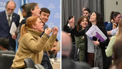 Escándalo en el Senado: se trenzaron dos diputadas