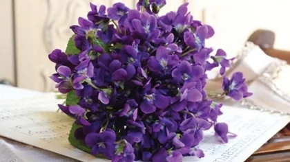 ¿Por qué se regalan flores moradas el 9 de octubre?