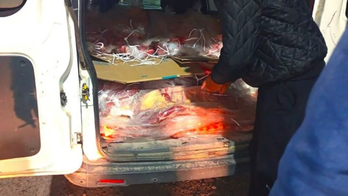 Evitó un control y quiso escapar con 50 costillares