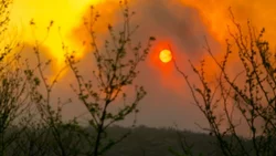 Incendio en Córdoba: voces de desesperación y pérdida entre los ciudadanos