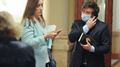 Victoria Villarruel rechazó la controvertida propuesta de "renuncia a la paternidad"