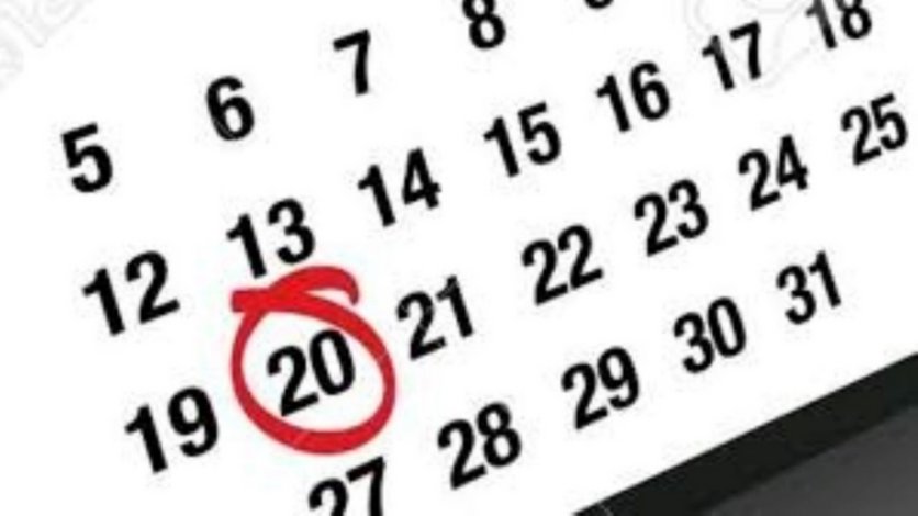 ¿Es feriado el día lunes 20 de noviembre?