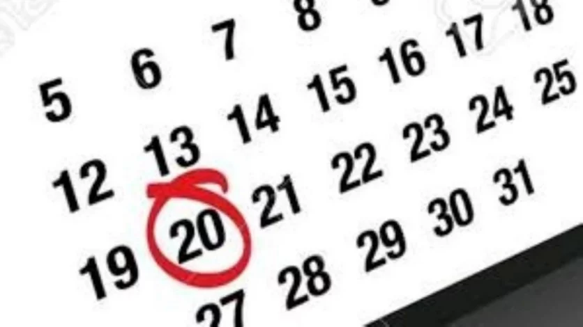 ¿Es feriado el día lunes 20 de noviembre?