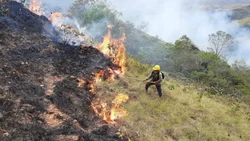 Francia envía bomberos a Bolivia para combatir incendios
