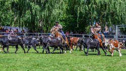 Confirmaron la Expo Rural, pero con cuidados sanitarios
