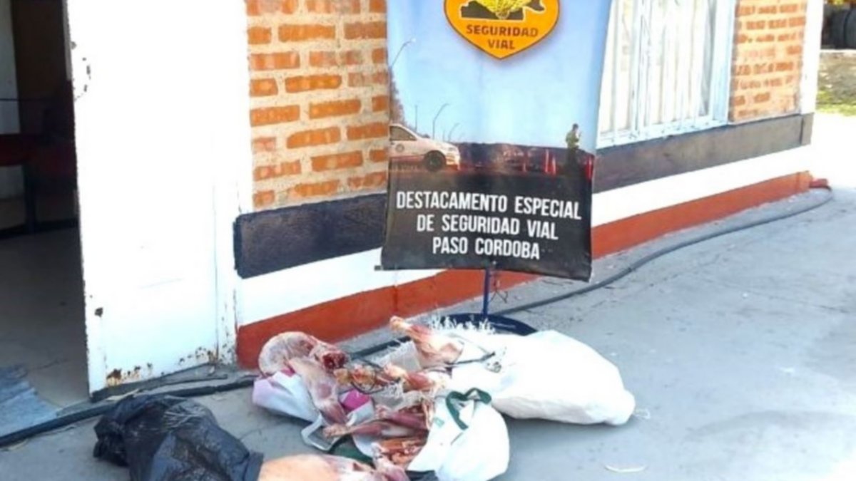 Más de 30 corderos fueron incautados el fin de semana