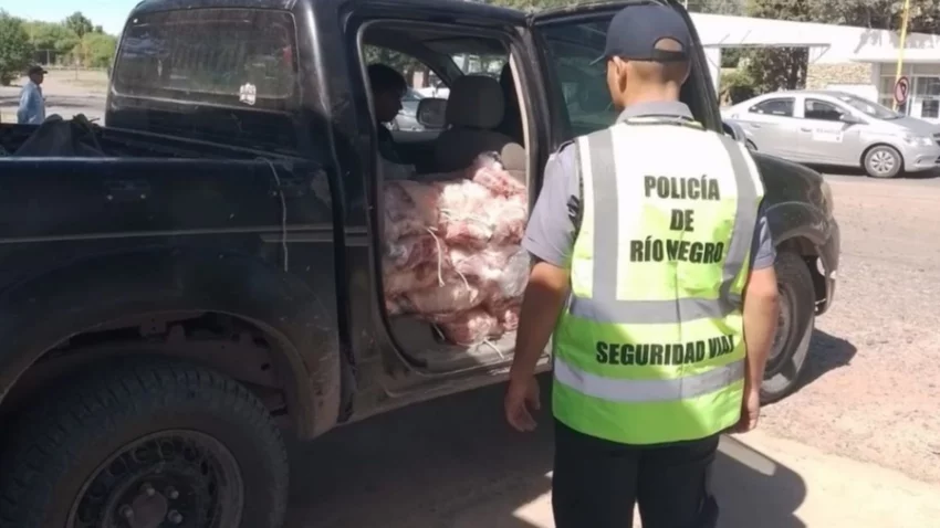 En vísperas de Navidad, decomisaron más de 1400 kilos de carne