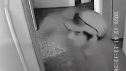 VIDEO: Mirá como un joven delincuente robó en Cipolletti