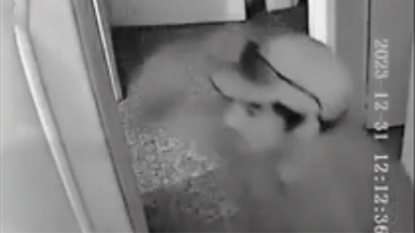 VIDEO: Mirá como un joven delincuente robó en Cipolletti