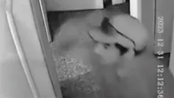 VIDEO: Mirá como un joven delincuente robó en Cipolletti