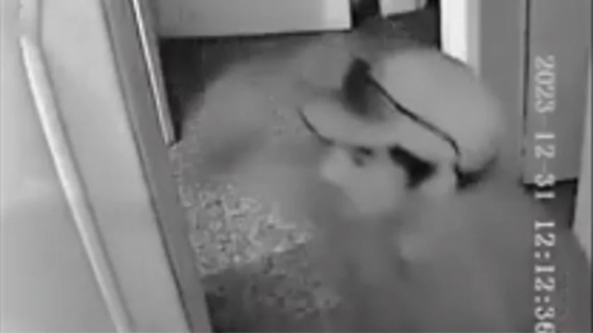 VIDEO: Mirá como un joven delincuente robó en Cipolletti