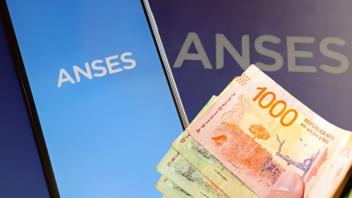 El Gobierno suspendió el programa Créditos ANSES