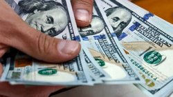 Quiénes pueden comprar el cupo de 200 dólares: los requisitos