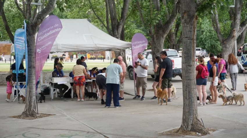 Vacunación de perros en tiempo récord en el paseo costero neuquino