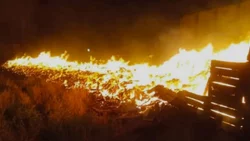 Tremendo incendio consumió 4 mil bins de un galpón de empaque
