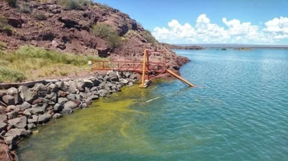 Algas contaminantes en lagos de Neuquén: piden tranquilidad a los bañistas