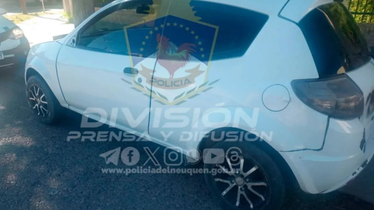 Raid delictivo en la comarca petrolera: dos detenidos