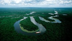 Hallaron una increíble ciudad perdida en el Amazonas