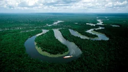Hallaron una increíble ciudad perdida en el Amazonas