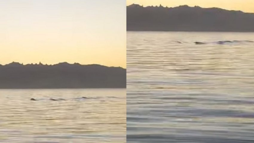 ¿Era el Nahuelito? Turistas filmaron un raro movimiento en el Nahuel Huapi