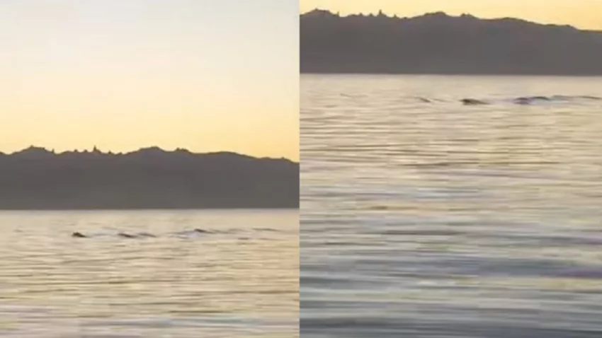 ¿Era el Nahuelito? Turistas filmaron un raro movimiento en el Nahuel Huapi