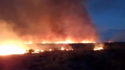 Tres días de trabajo y 40 bomberos para apagar el fuego en un campo